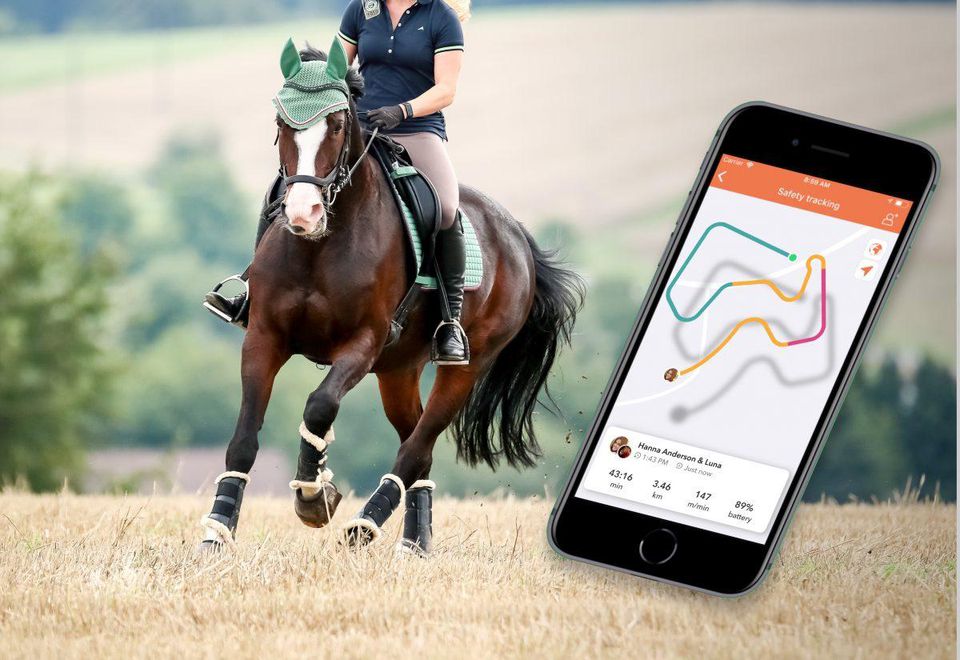 Equestrian app Equilab is featured in Forbes